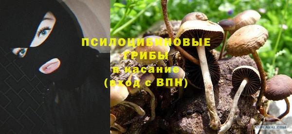 эйфоретик Белоозёрский