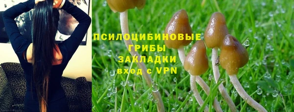 эйфоретик Белоозёрский