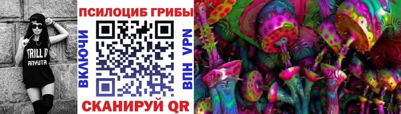 Псилоцибиновые грибы Magic Shrooms  KRAKEN ССЫЛКА  Владивосток 